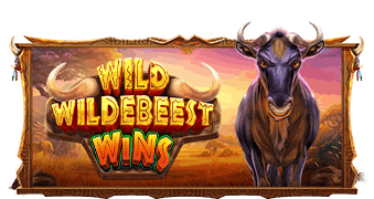 Wild Wildebeest Wins